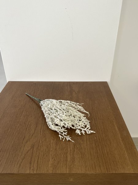أبيض