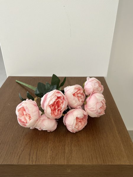 زهري